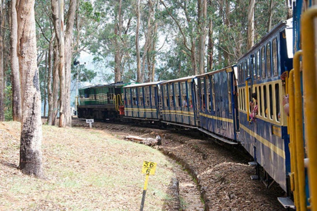 Blusalz Homes - One Lovedale, Ooty - Tamil Nadu ภายนอก รูปภาพ